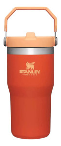 Stanley Termico Iceflow Flip Straw Tumbler  |  20 Oz 600ml