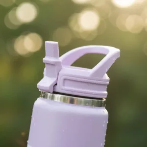 Botella Termica Pico Tank Roler 750ml Terrano Asa Rígida Lila